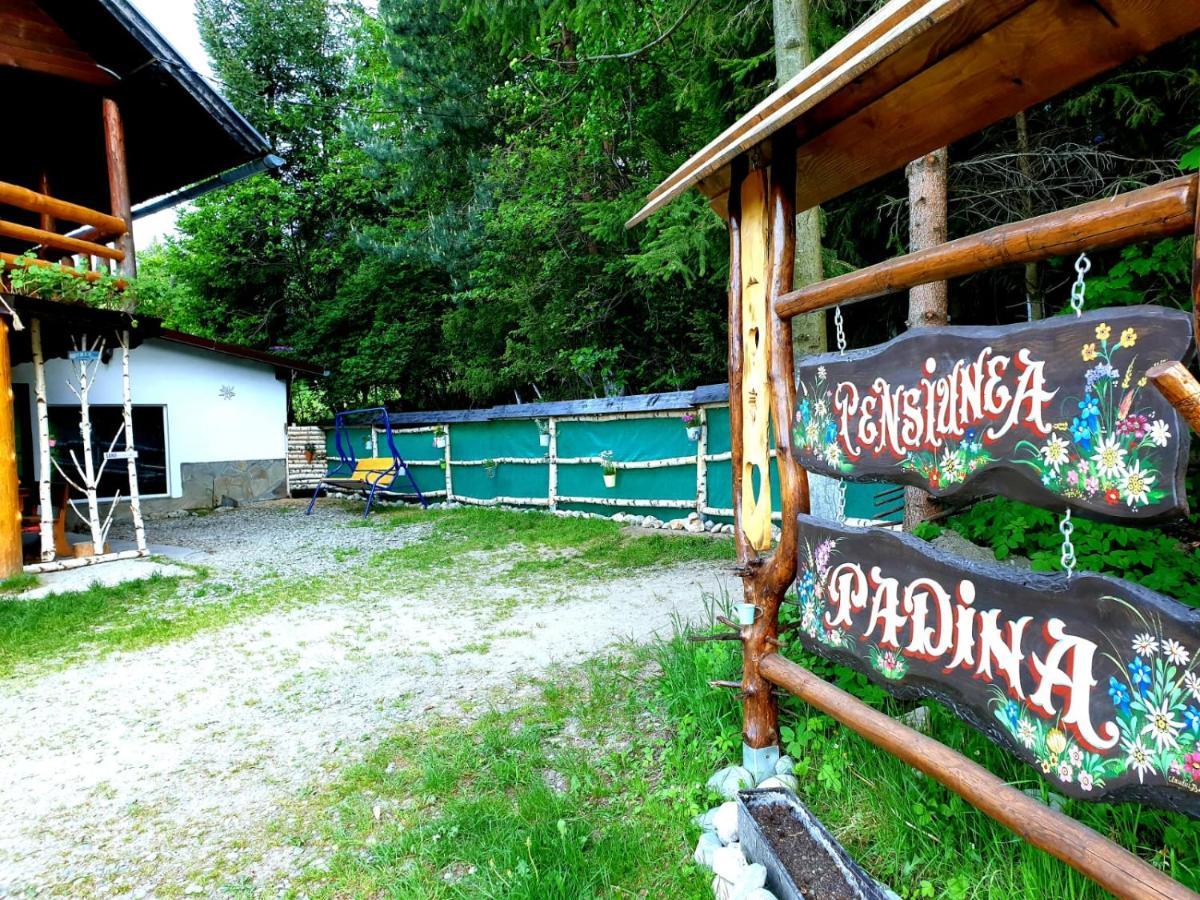 Pensiunea Padina Бран Екстериор снимка