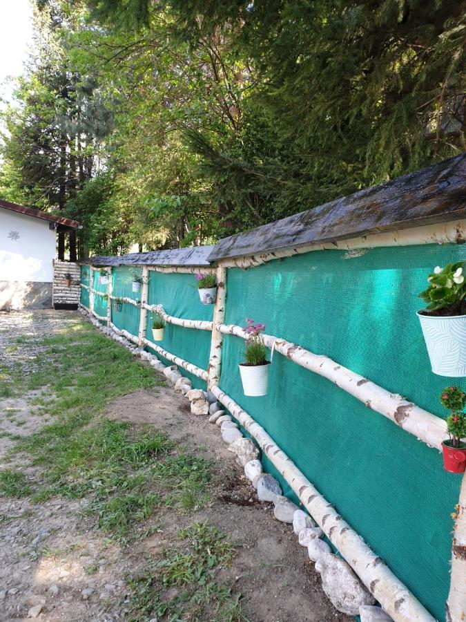 Pensiunea Padina Бран Екстериор снимка